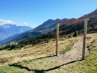 Inizio della Black Wood Line