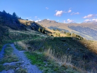 Salita all'Alpe del Gualdo