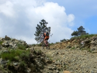 Alta Via dei Monti Liguri verso il Colle Gandolfi - uno dei tratti più impegnativi della salita