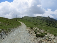 Alta Via dei Monti Liguri verso il Colle Gandolfi - sullo sfondo a destra Punta Martin