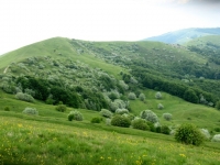 Monte Cosfrone, Monte Panà e Monte Giarolo