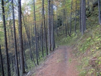 Sentiero per Malafosse Bassa