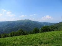 Panorama sul Mottarone dal Monte Cornaggia