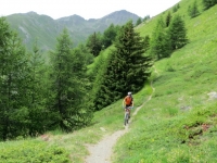 Il single-track che scende dall'Alpe Tsa de la Comba