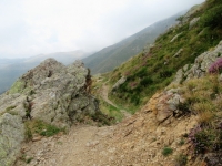 Sentiero del Val Colla Bike che collega San Lucio con l'Alpe Pietrarossa