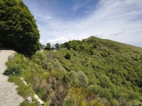 Bisbino-Colmegnone-PoncioneCabbio18
