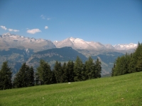 Rosswald - panorama sull'altopiano dell'Aletsch