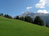 Rosswald - panorama