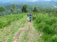 Trail di discesa dal Monte Calvo verso Palasot