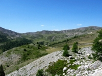 In direzione del Col de Granon - Panorama sui pascoli del vallone che lo precede