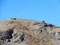 Fortificazioni del Mont Froid