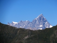 La Grandes Jorasses (4.208 - massiccio Monte Bianco) dalla Costa Tardiva