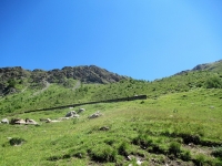 Alpe Tardiva - Sullo sfondo il Colle