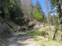 La sterrata che scende dall'Alpe Fontana Verde