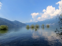 Lago Maggiore dalla sponda di Ascona