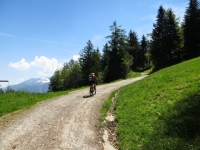 Salita all'Alpe Torcelli