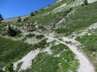 Fantastico trail In direzione di Serre Lan lungo il pendio del Crête de Peyrolle