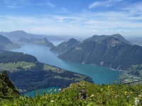 Fronalpstock