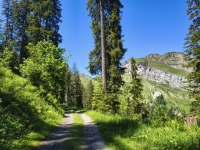 IMG_20260613_121846475_HDR
