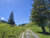 IMG_20260613_122820659_HDR