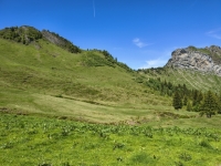 IMG_20260613_123056091_HDR