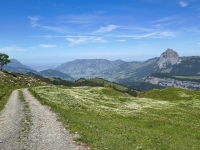 IMG_20260613_125423923_HDR