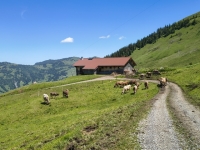 IMG_20260613_125748820_HDR