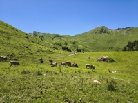IMG_20260613_125854507_HDR