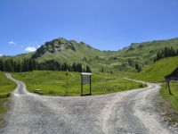 IMG_20260613_130207850_HDR