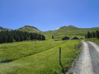 IMG_20260613_132202248_HDR