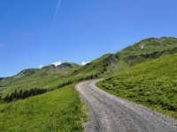 IMG_20260613_133607725_HDR