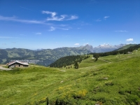 IMG_20260613_133620243_HDR