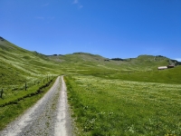 IMG_20260613_134138583_HDR
