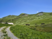 IMG_20260613_134540950_HDR