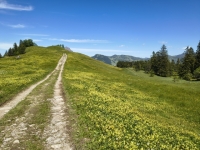 IMG_20260613_140700819_HDR