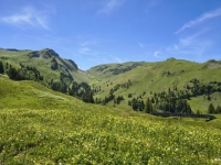 IMG_20260613_140707227_HDR
