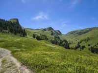 IMG_20260613_140712649_HDR