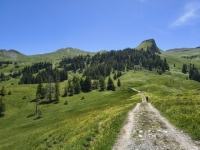 IMG_20260613_140818649_HDR