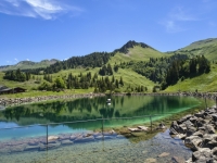 IMG_20260613_141333104_HDR