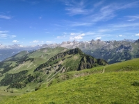 IMG_20260613_152529383_HDR