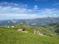 IMG_20260613_152533987_HDR