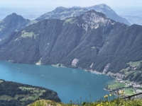 IMG_20260613_154017613_HDR