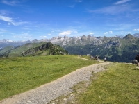 IMG_20260613_155424539_HDR