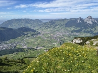 IMG_20260613_160454724_HDR