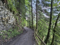 IMG_20260613_162448284_HDR