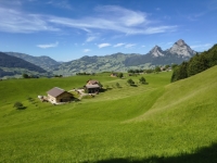 IMG_20260613_164934307_HDR