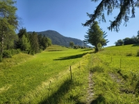 IMG_20260712_095031960_HDR