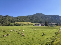 IMG_20260712_095636243_HDR