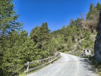 IMG_20260712_100946776_HDR
