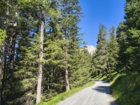 IMG_20260712_103325740_HDR